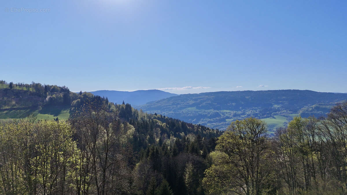 Maison à HABERE-LULLIN