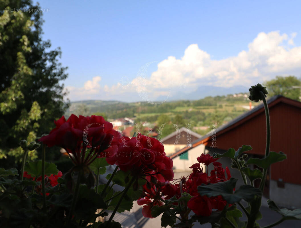 Maison à ALLONZIER-LA-CAILLE