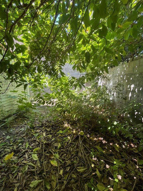 Commerce à LE MOULE