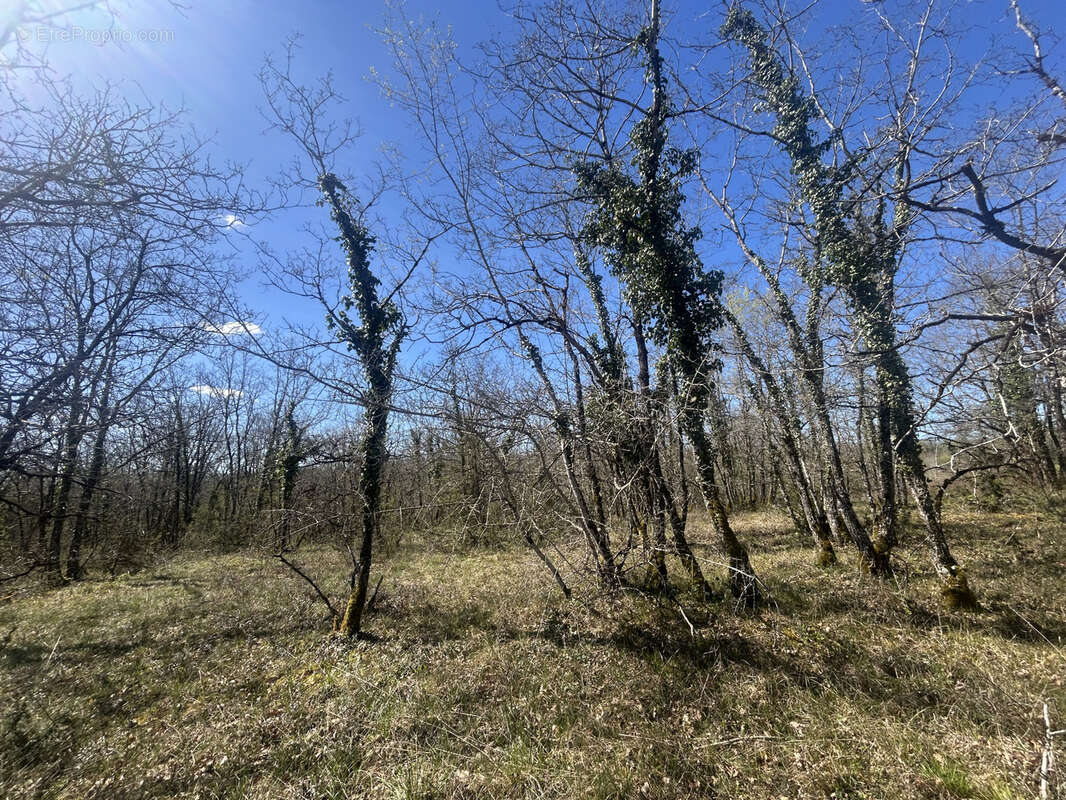 Terrain à GIGNAC