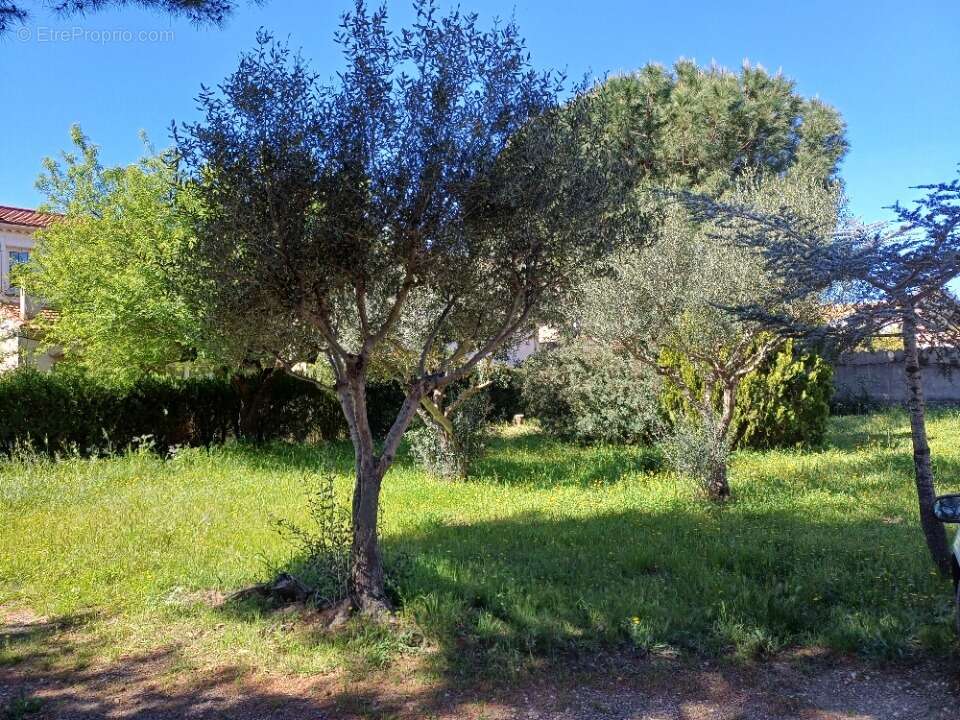 Terrain à LA CRAU