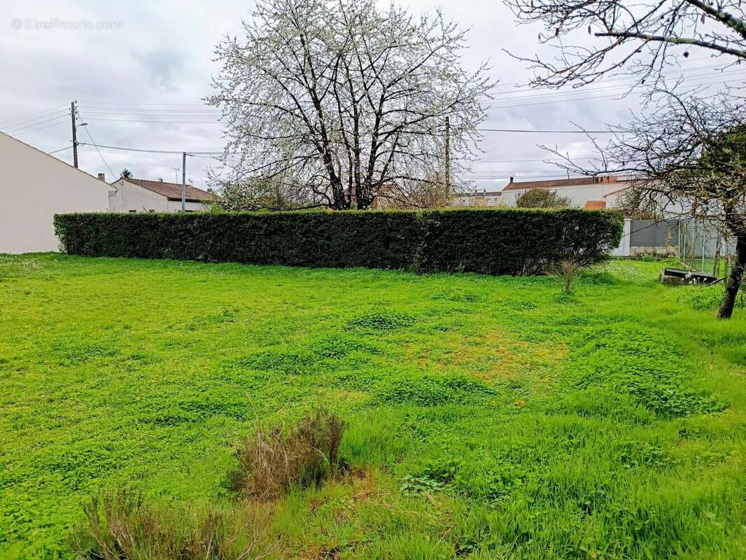 Photo 4 - Terrain à COGNAC