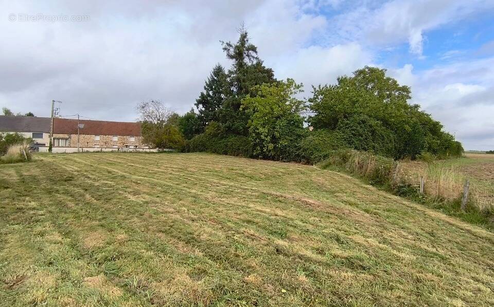 Terrain à MORET-SUR-LOING