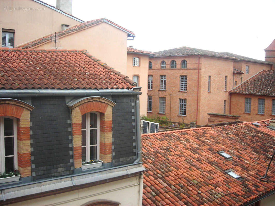 Montauban hypercentre, rue piétonne - photo 9
