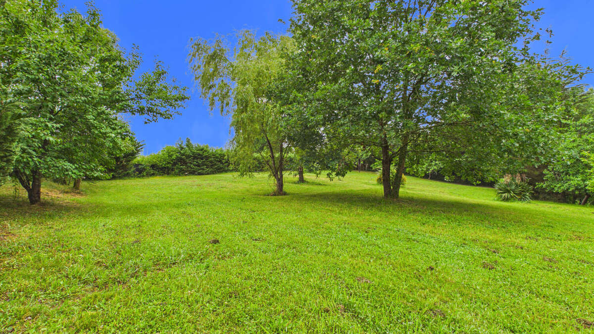 Terrain constructible de 2 244 m² avec forêt de 2 hectares - photo 4
