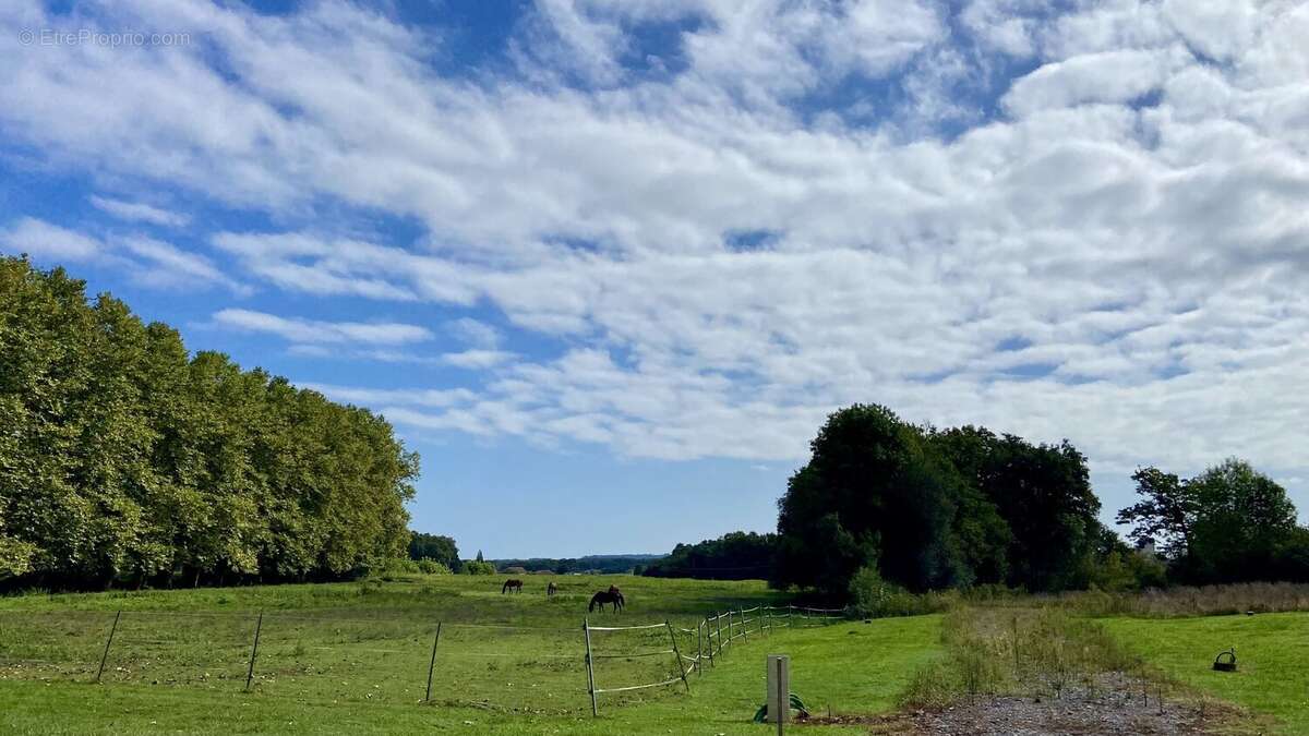 Terrain à SAINT-JEAN-DE-MARSACQ