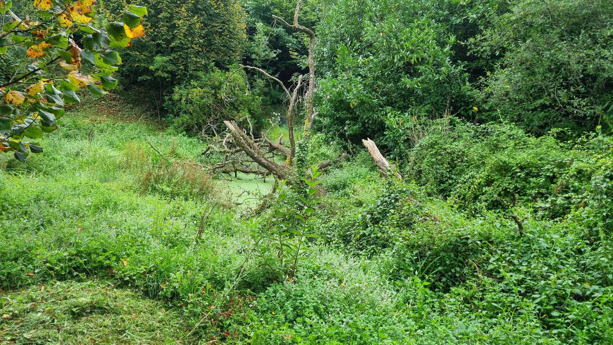 20240829_143511 - Terrain à AUGIGNAC