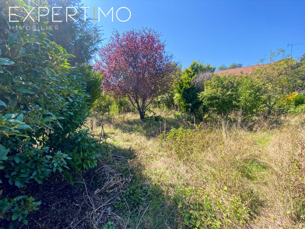 Maison à MORIGNY-CHAMPIGNY