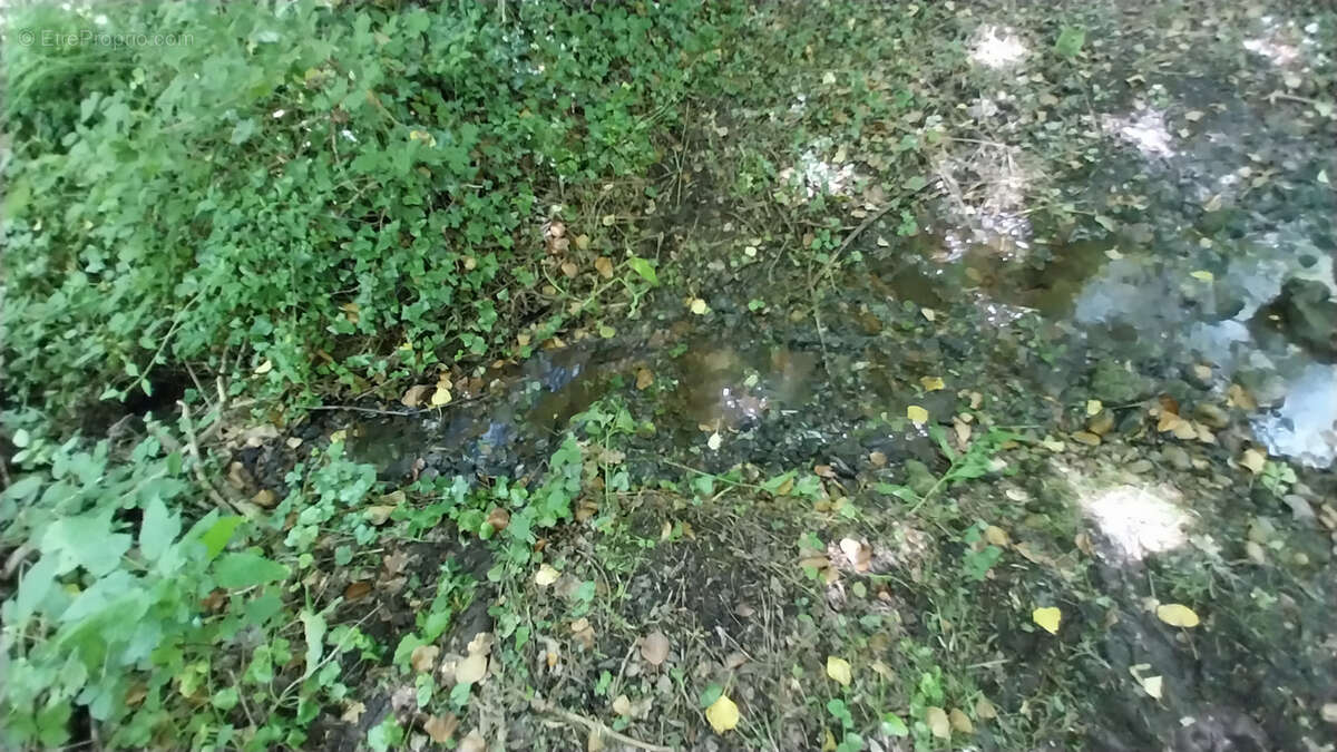 Point d'eau avec Terrain boisé - Périgord Vert - photo 4