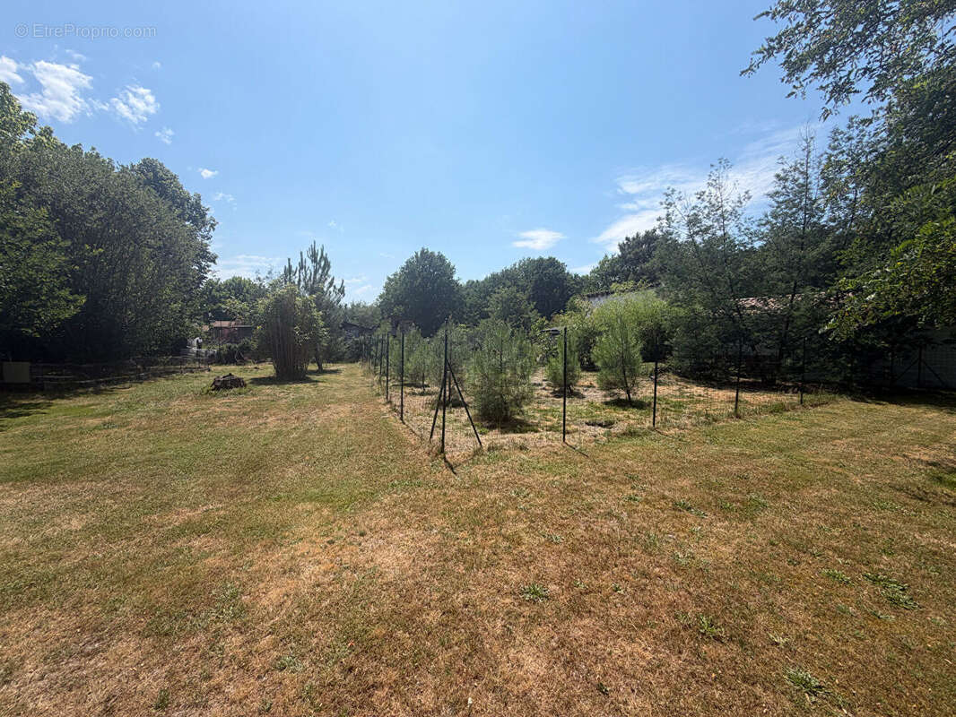 Terrain à vendre de 1200 m² à SALLES - Réf. 4542 - photo 2