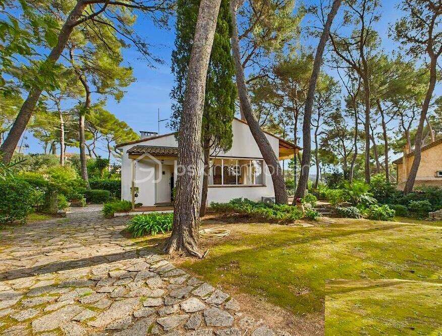  le cannet – secteur pinède – villa de plain-pied sur terrain arboré de 1300 m² – fort potentiel - photo 6