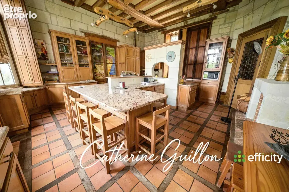 Maison 18 pièces 560 m² à vendre à Ingrandes (86220) - photo 11