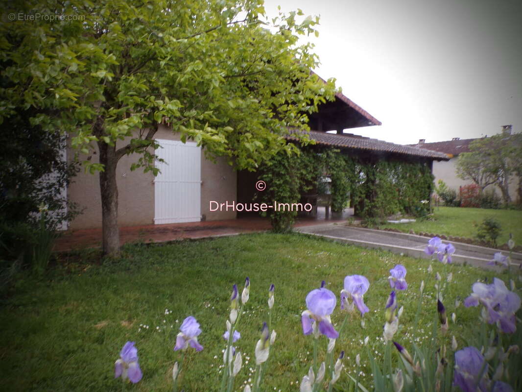 Maison à LAVAUR