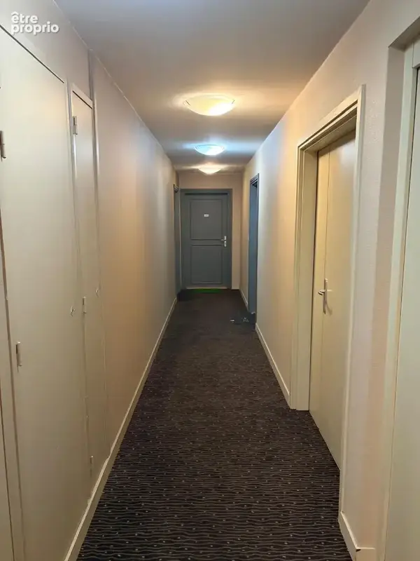 Appartement Decines Charpieu 2 pièce(s) 34 m2 - photo 2
