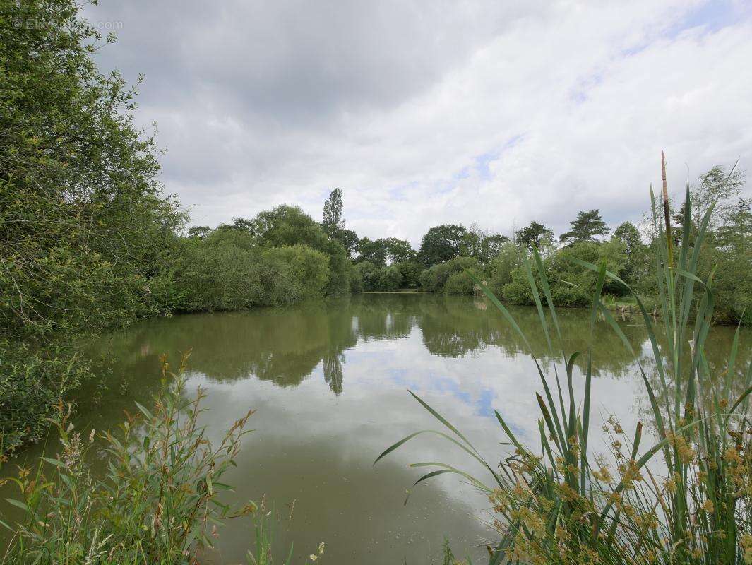 Terrain à SAINT-AUBIN-D'AUBIGNE