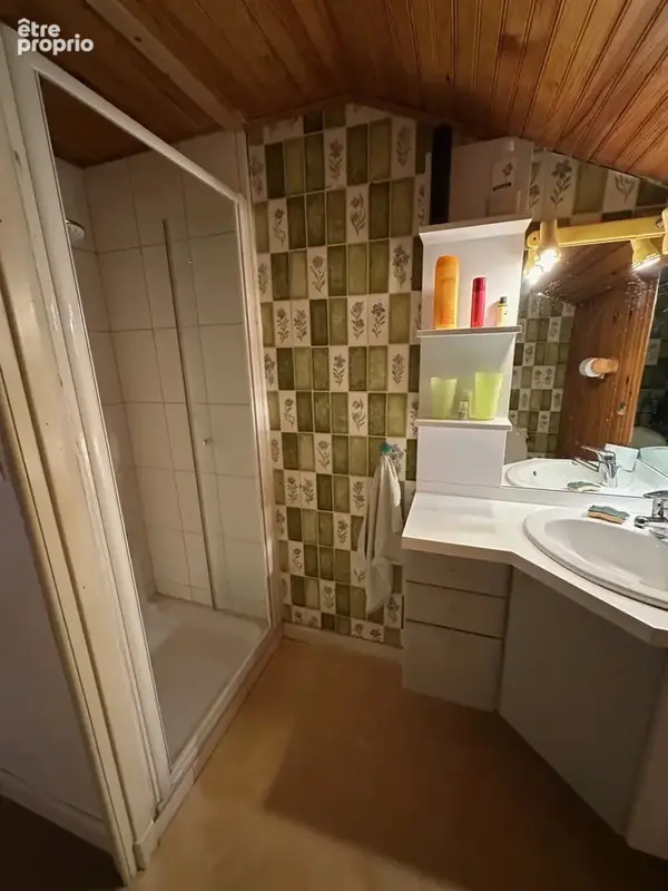 Maison 250 m2 habitabes avec terrain de 1816 m2 - photo 11