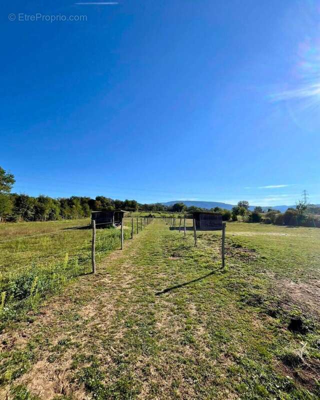 Photo 4 - Maison à MONTALIEU-VERCIEU