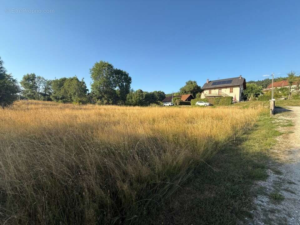 Terrain à SAINT-MAURICE-DE-ROTHERENS