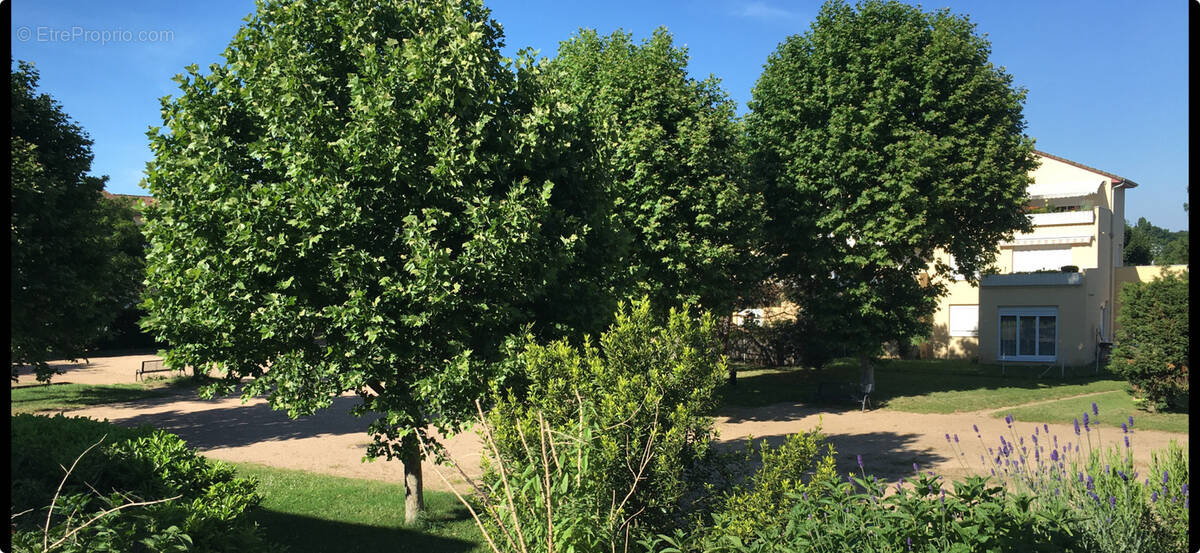 Appartement à SAINT-GEORGES-DE-RENEINS