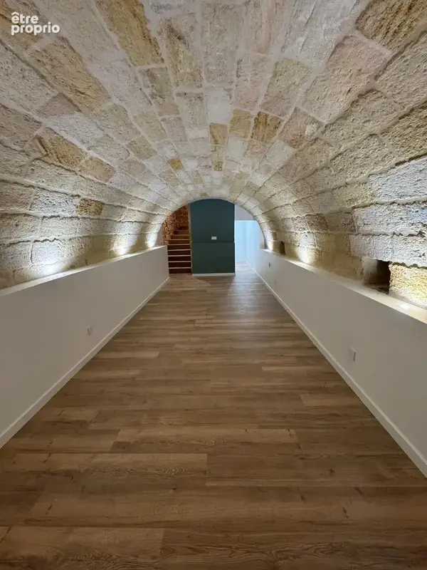 Appartement T1bis duplex Saint Michel - photo 9