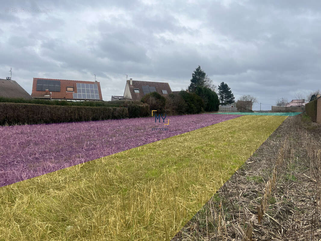 Terrain à LIBERCOURT