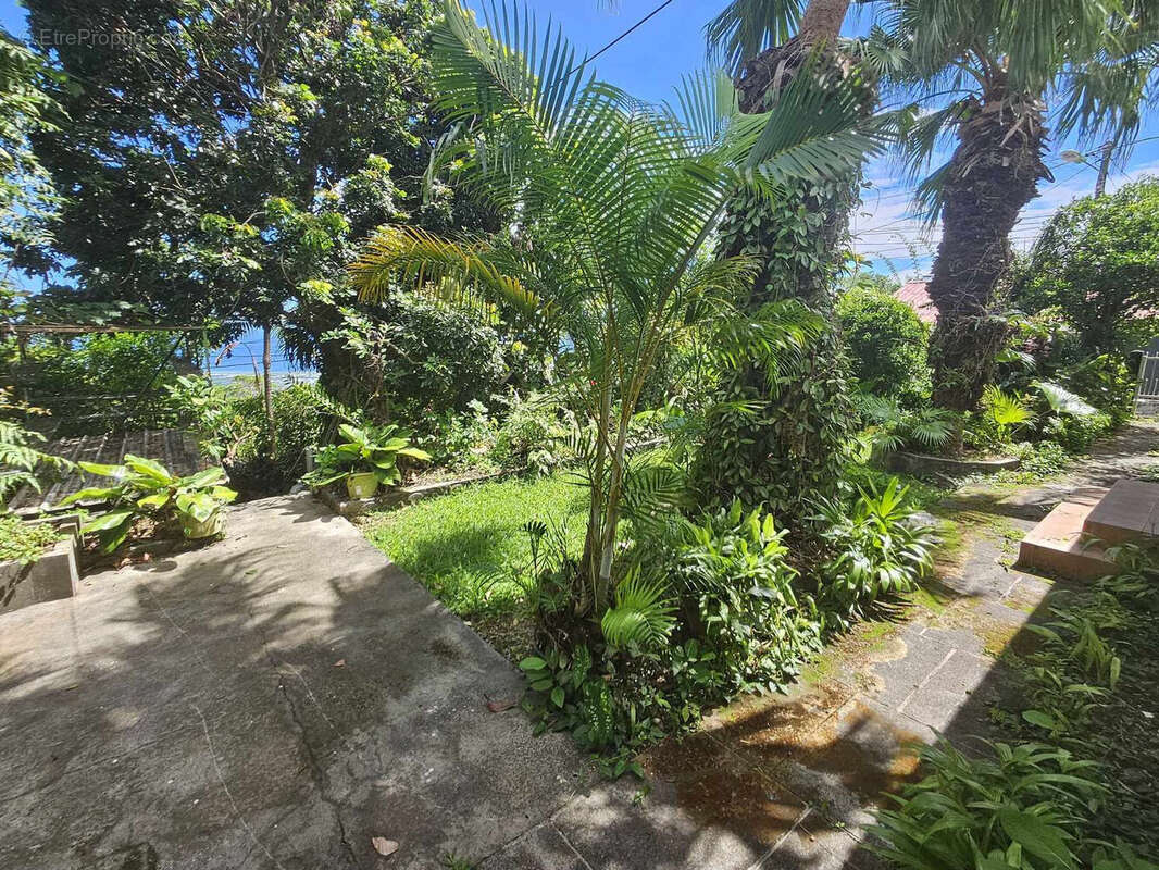 Photo 7 - Maison à SAINTE-MARIE