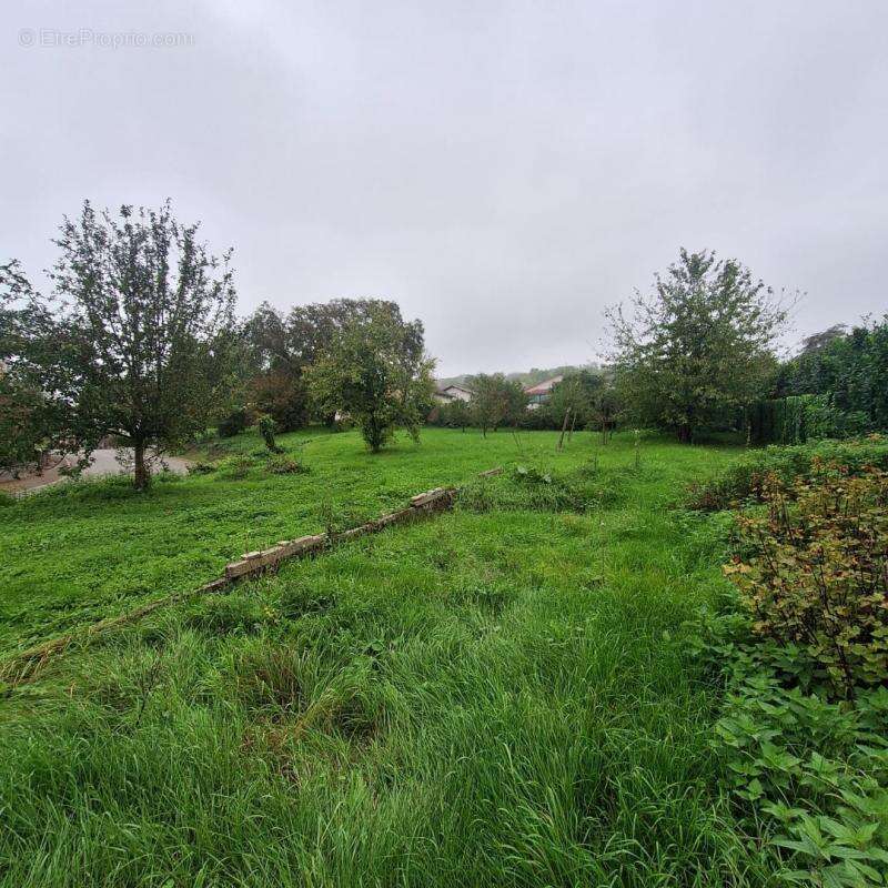 Terrain à HEIDWILLER