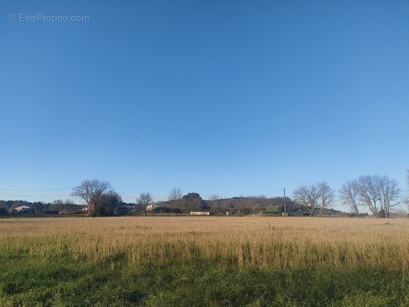 Terrain à RIBAUTE-LES-TAVERNES