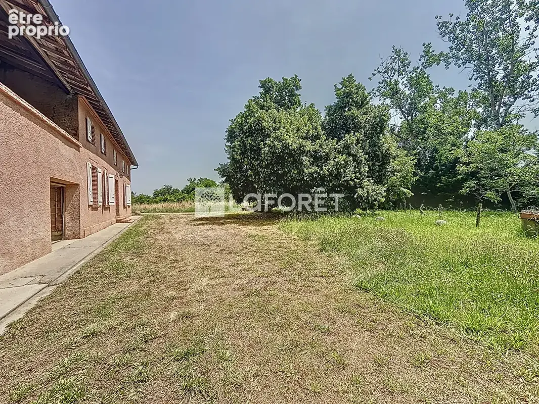 Idéal promoteur,10 minutes de Fronton, ferme avec piscine et dépendances !!!  4660 m² de terrain ! - photo 6