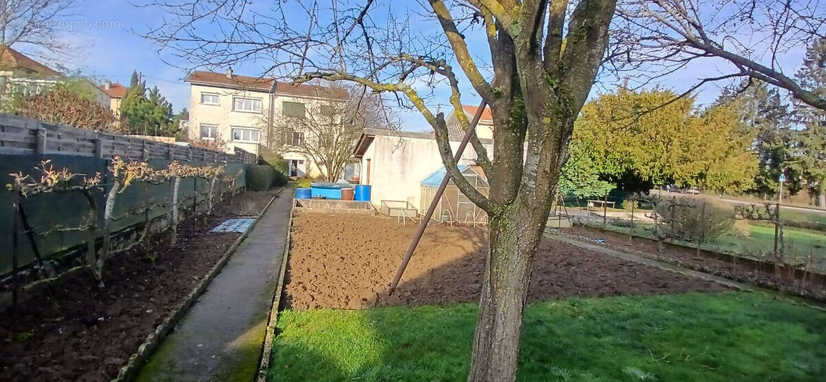 Maison à DOMMARTIN-SOUS-AMANCE