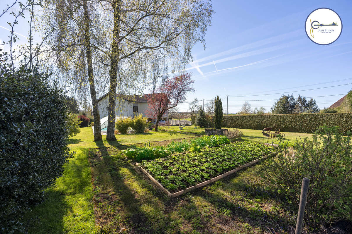 Maison à LE CLERJUS