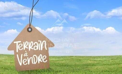 Terrain à SAINT-REMY-DE-PROVENCE