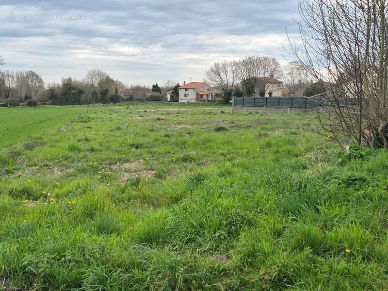 Terrain à FRONTENAY-ROHAN-ROHAN