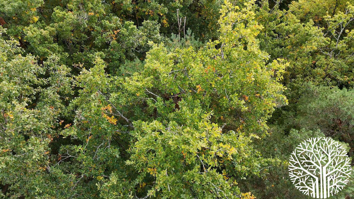Maison à NOISY-SUR-ECOLE
