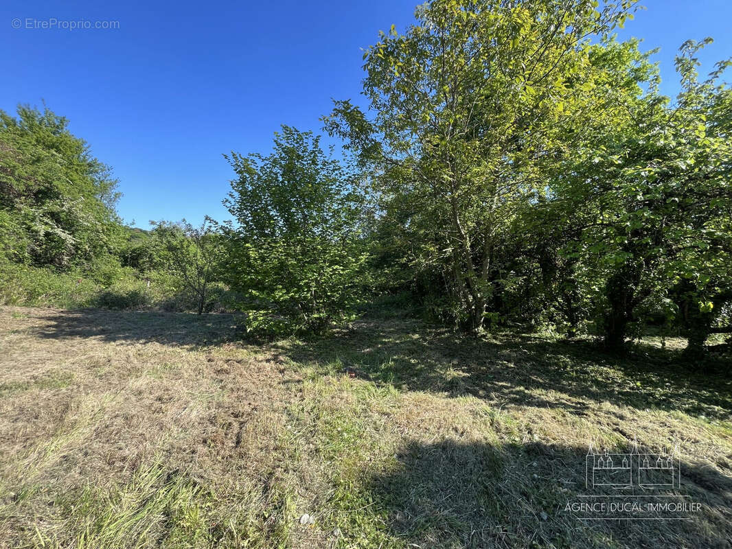 Terrain à SAINT-BENIN-D'AZY