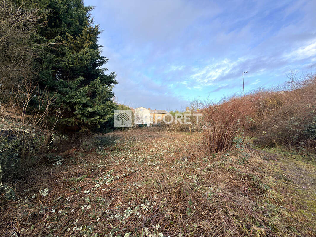 Terrain à VITRY-SUR-ORNE