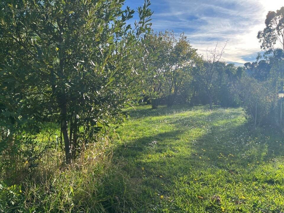 Terrain à SOLLIES-PONT