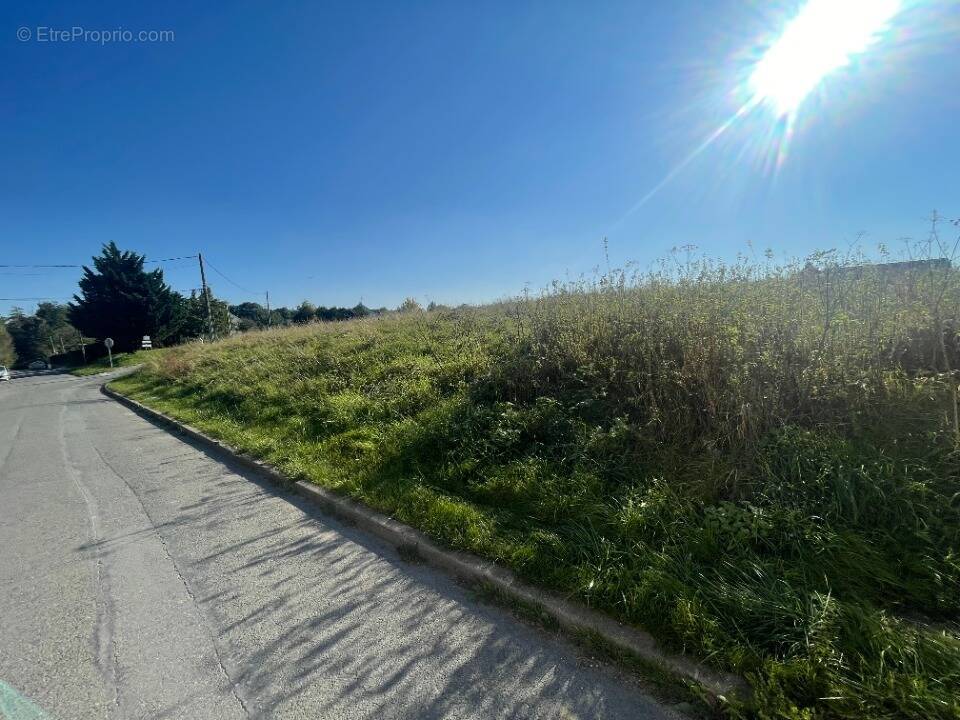 Terrain à MONTMIRAIL