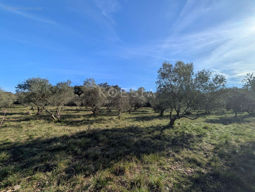 Terrain à SAUVE
