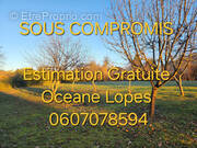 Photo 1 - Terrain à ROYERES