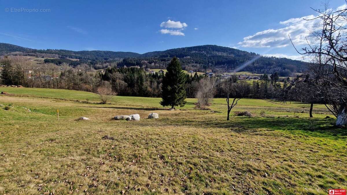 Terrain à CLEURIE