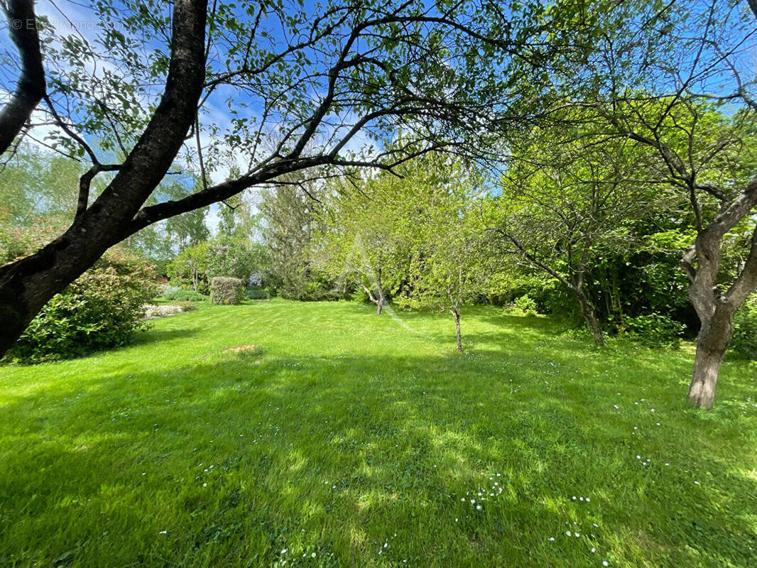 Terrain à VERN-D'ANJOU