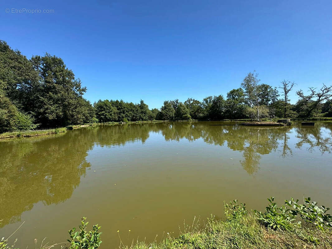 Maison à CHATEAUPONSAC