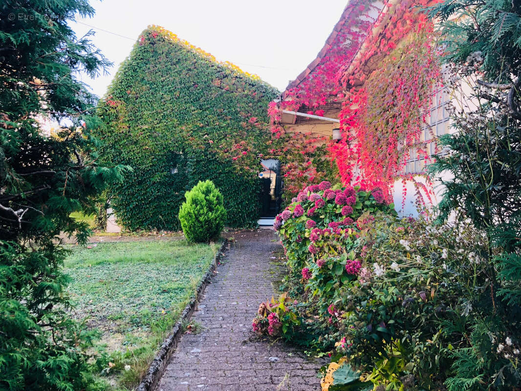 Maison à BOUXWILLER