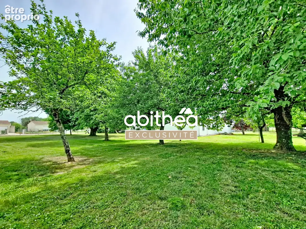 Rare  ideal artisan  350m2 de hangar  143m2 hab a rafraichir  6000m2 de terrain clos - photo 15