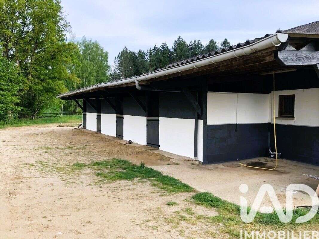 Photo 2 - Maison à DOLLON