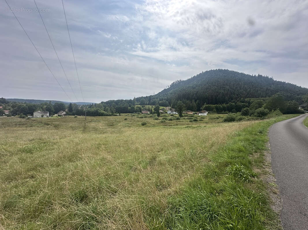 Terrain à TAINTRUX