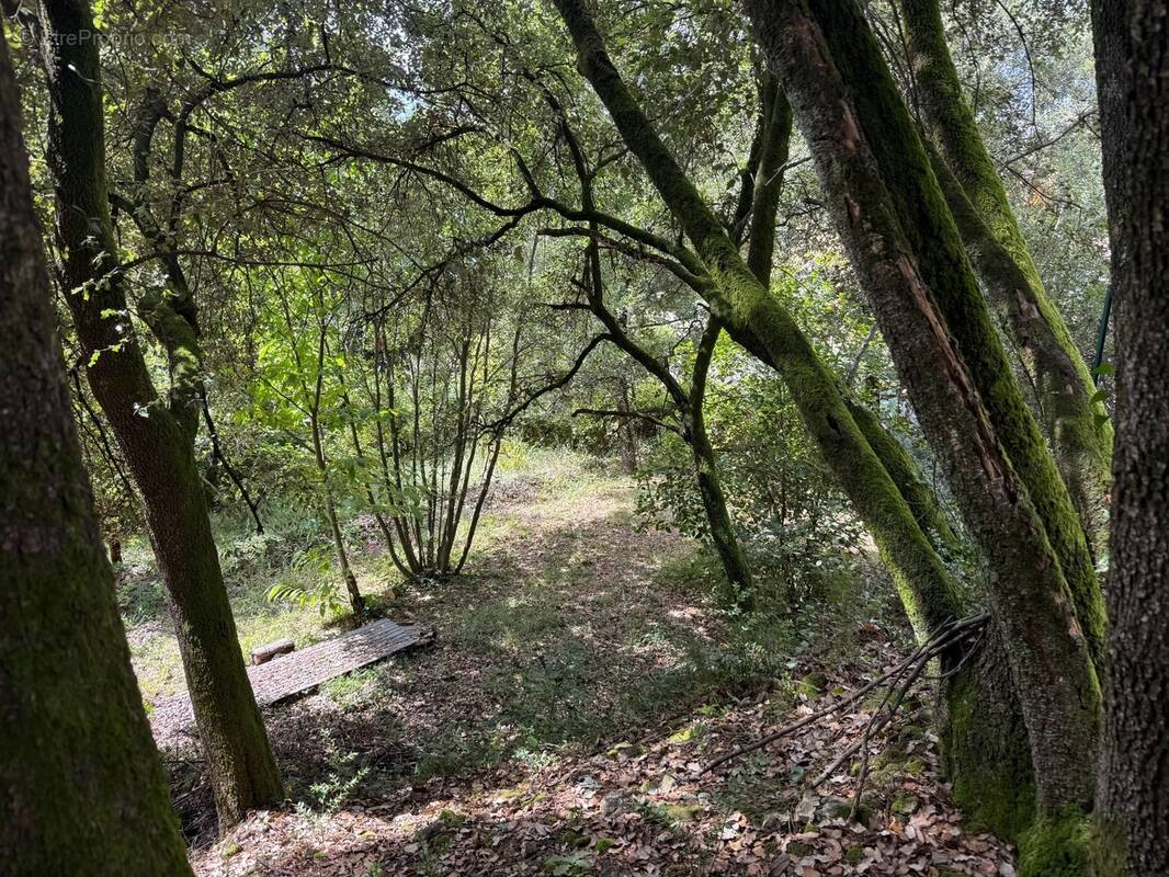 Terrain à CENDRAS