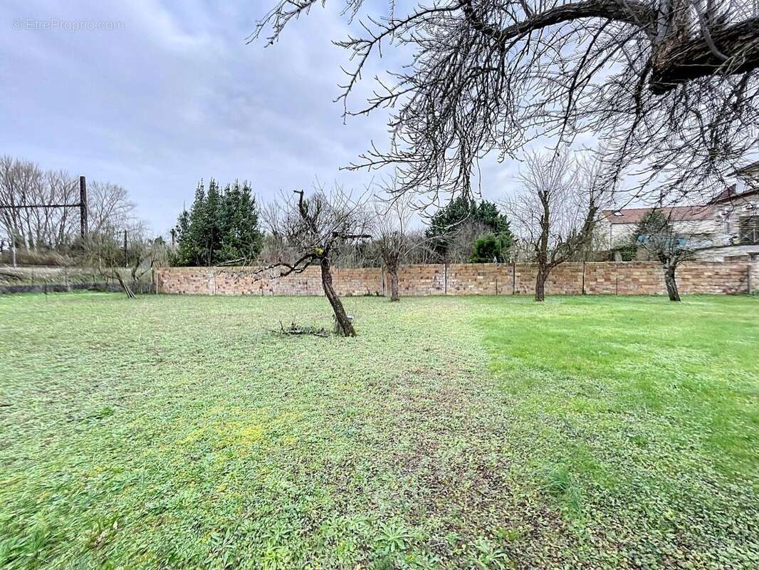 Photo 3 - Terrain à CHAMPIGNY