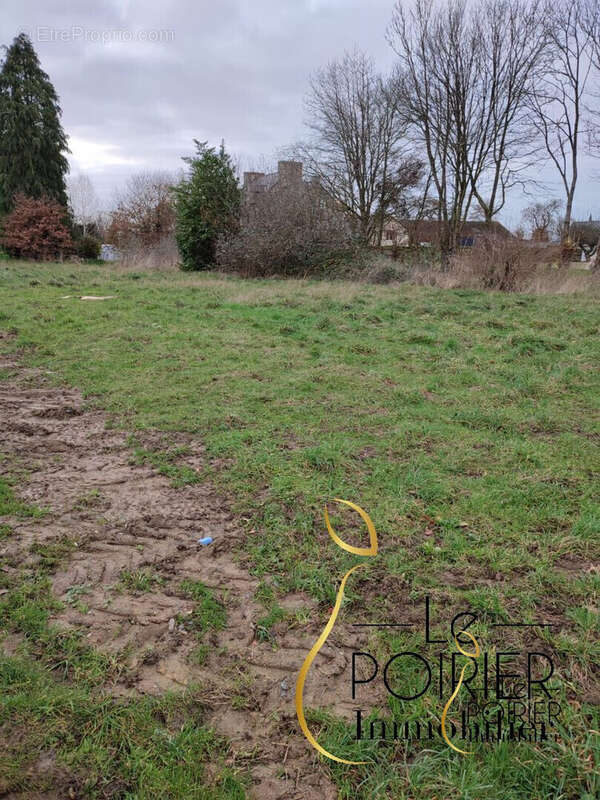 Terrain à SAINT-TRIMOEL